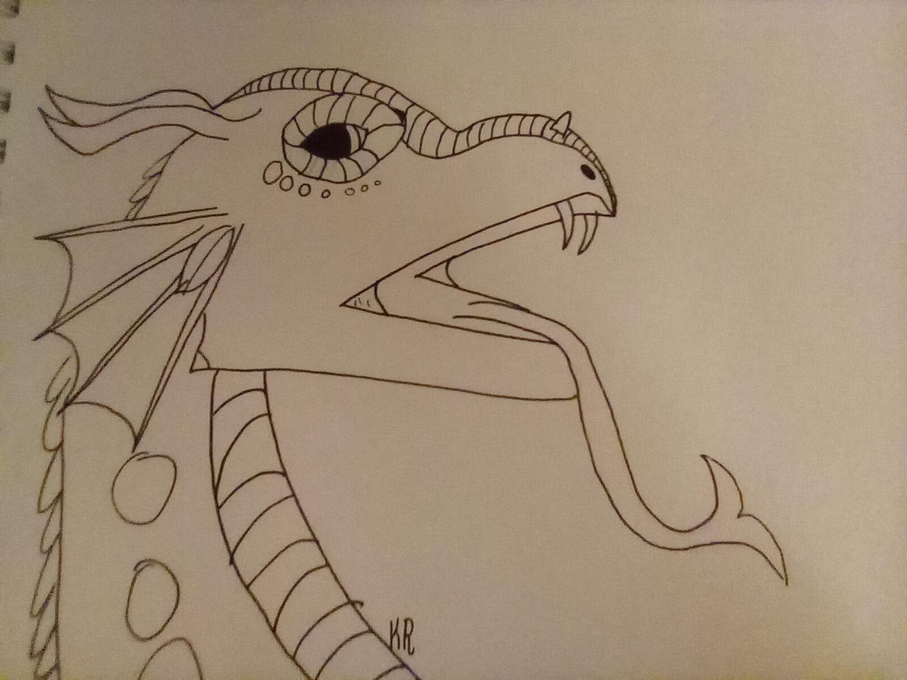 Rainwing coloring page by snowmango on