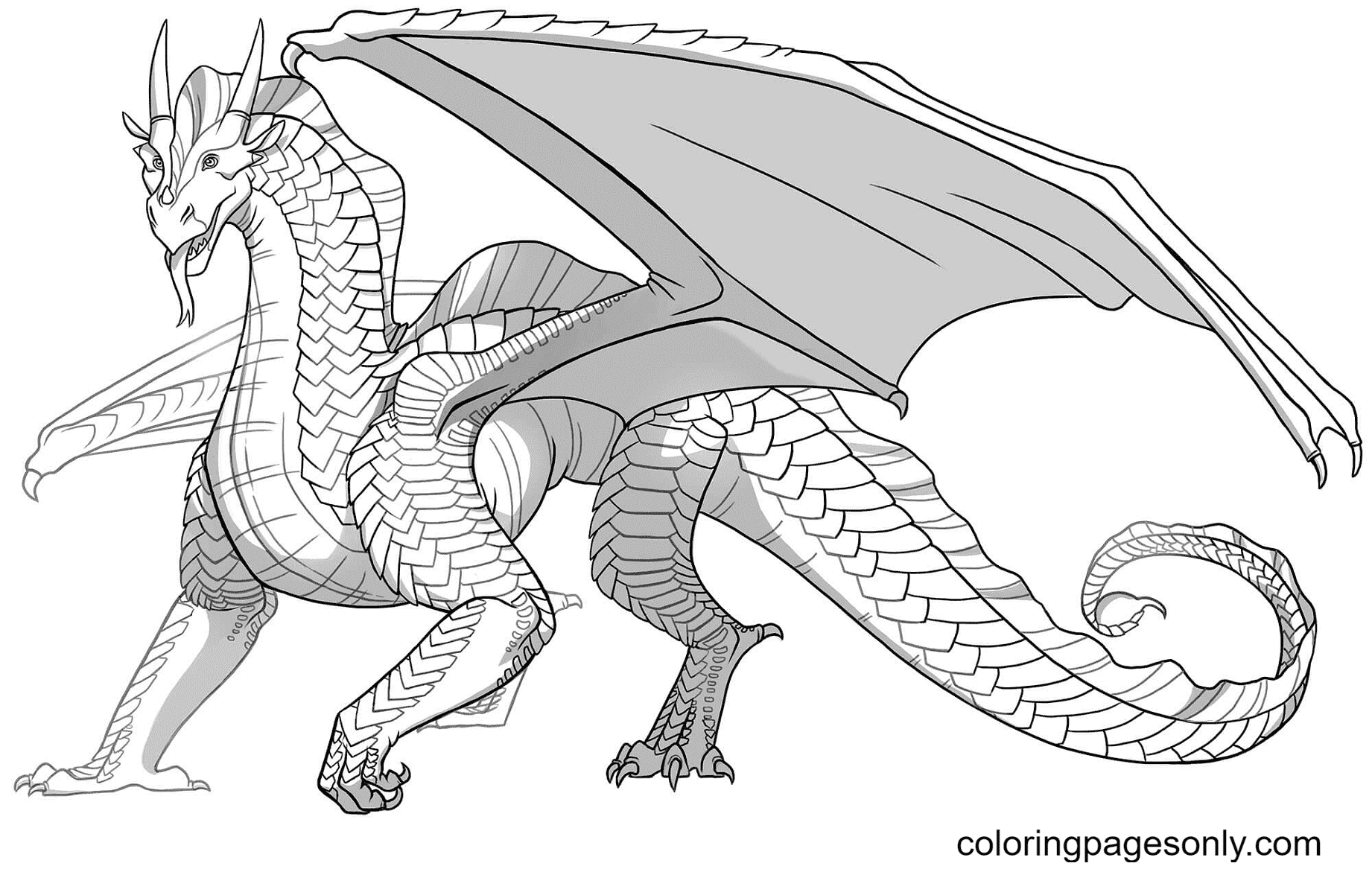 Rainwing dragon coloring page