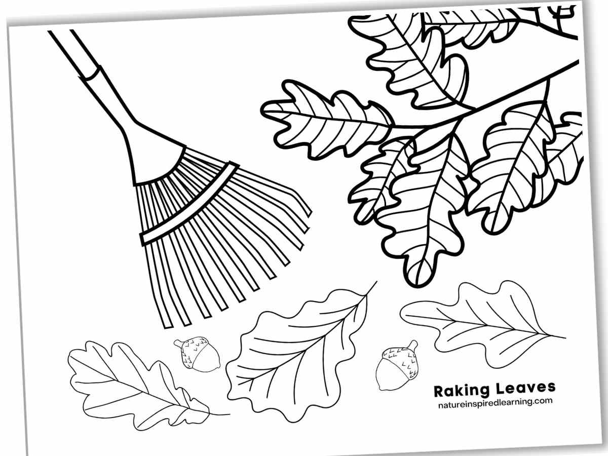 Fall coloring pages for autumn