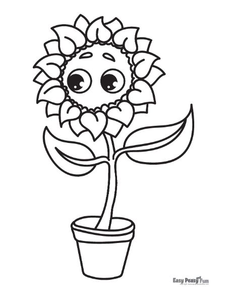 Printable sunflower coloring pages â sheets