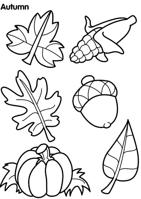 Free printable fall coloring pages for kids
