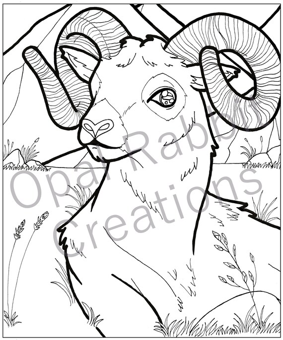 Mountain ram printable coloring page