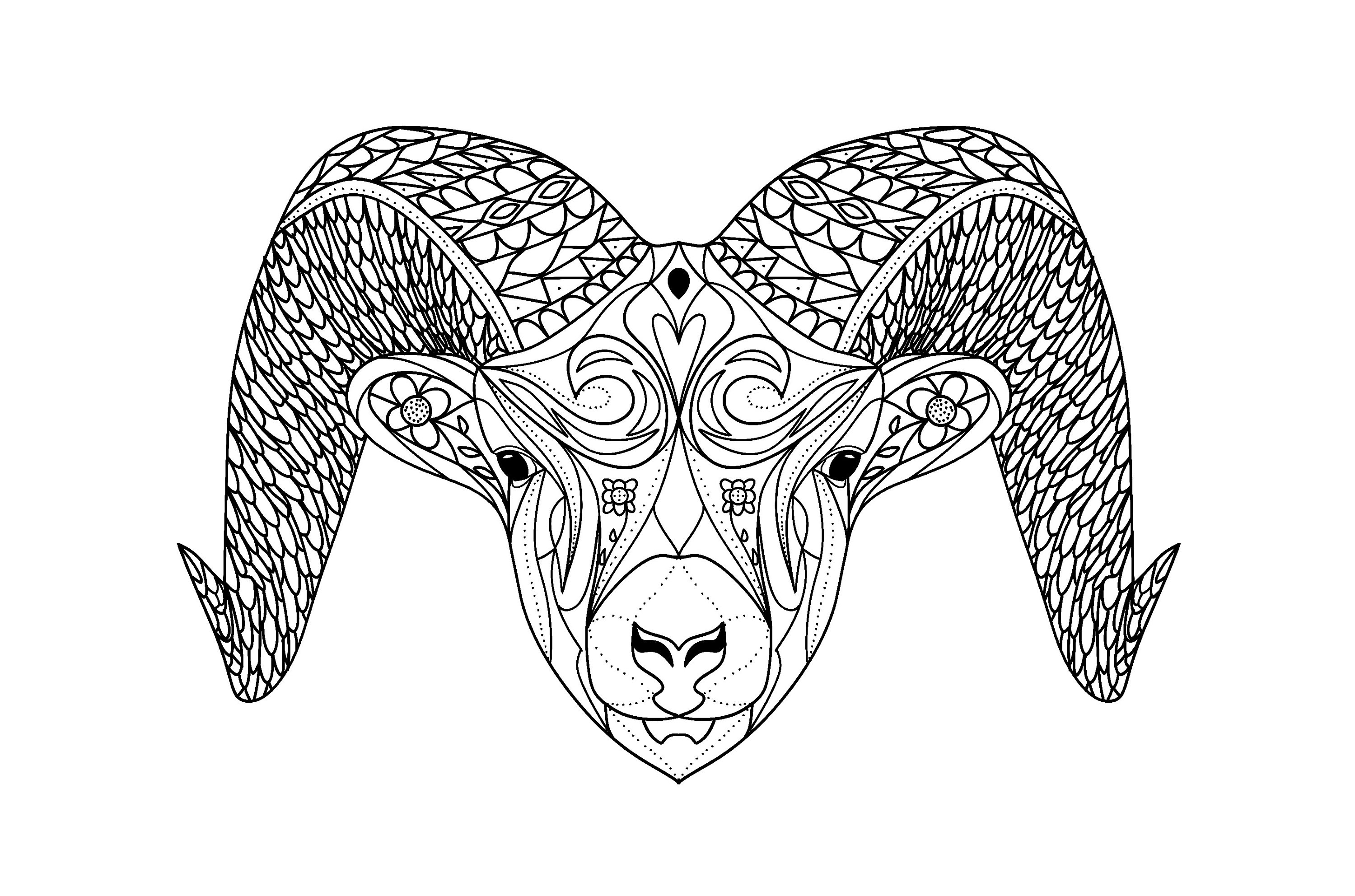 Popular black white ram animal fun coloring page stress relief adults kids artwork instant digital pdf jpeg easy printable download