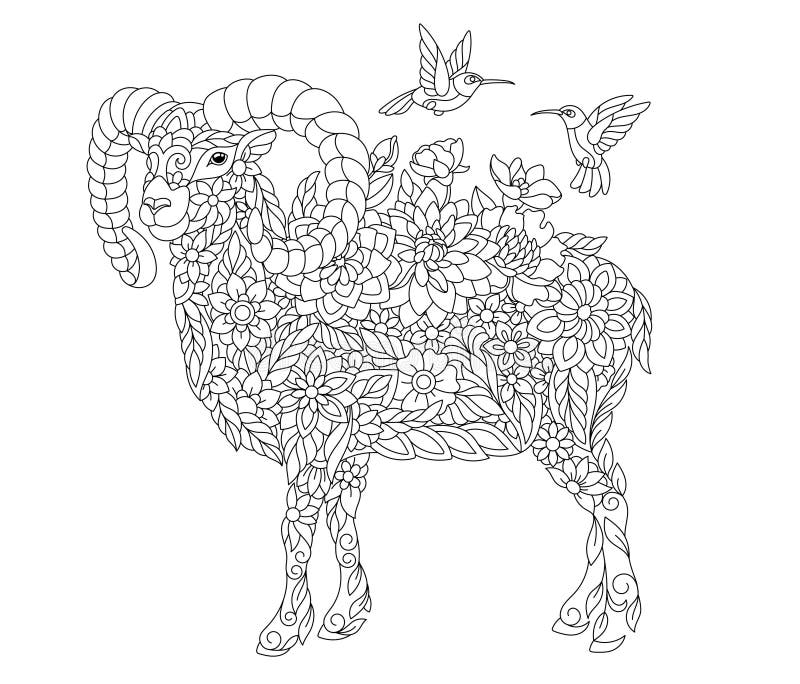 Ram coloring stock illustrations â ram coloring stock illustrations vectors clipart