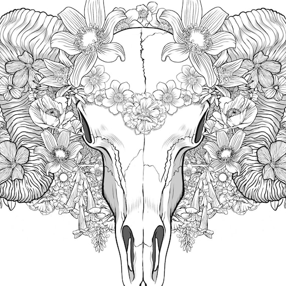 Printable coloring activity ram skull and wildflowers coloring page digital print