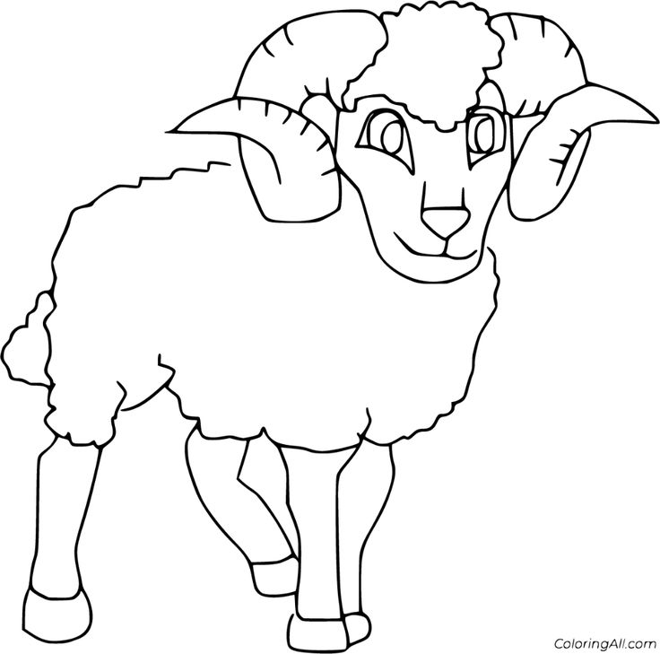 Free printable ram coloring pages in vector format easy to print from any device and automatically fit any paper size coloring pages drawings cartoon pics