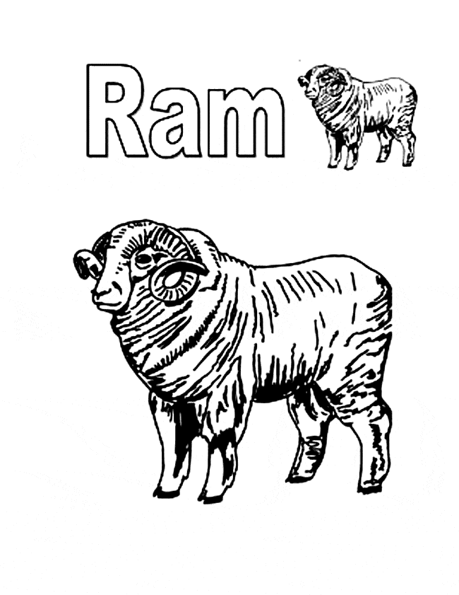 Ram coloring page