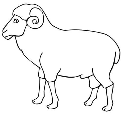Ram outline coloring page coloring pages church crafts free printable coloring pages