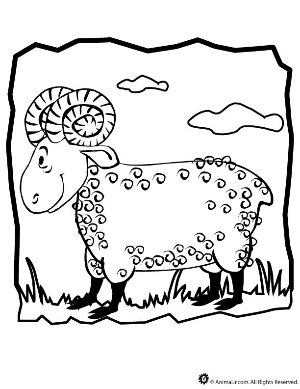Ram coloring page classroom jr coloring pages animal coloring pages childrens publishing
