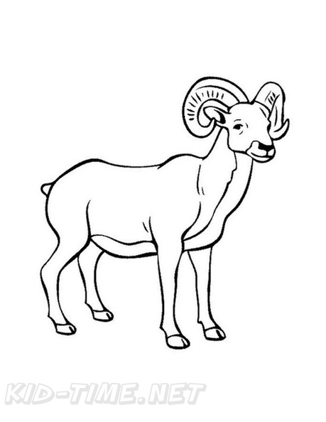 Free coloring book pages printables bighorn sheep ram coloring book page animal coloring pages coloring pages for kids cute coloring pages
