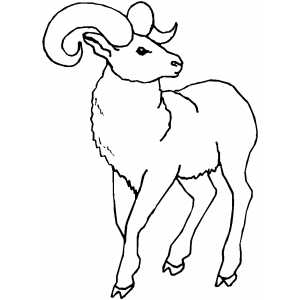 Ram coloring sheet