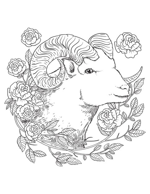 Premium vector ram and rose flower hand drawn mandala coloring pages for adults and kids coloring book