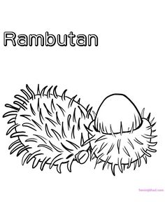 Fruits ideas fruit coloring pages coloring pages coloring pages to print