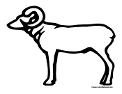 Ram coloring pages