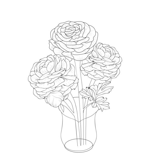 Lower draw stock illustrations royalty