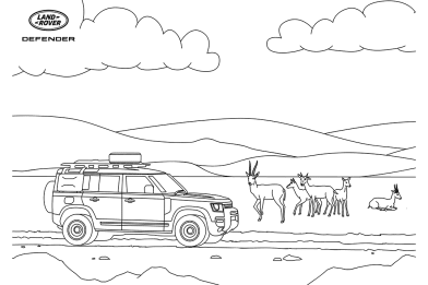 Land rover defender louring