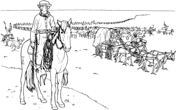 Rango cowboy coloring page free printable coloring pages