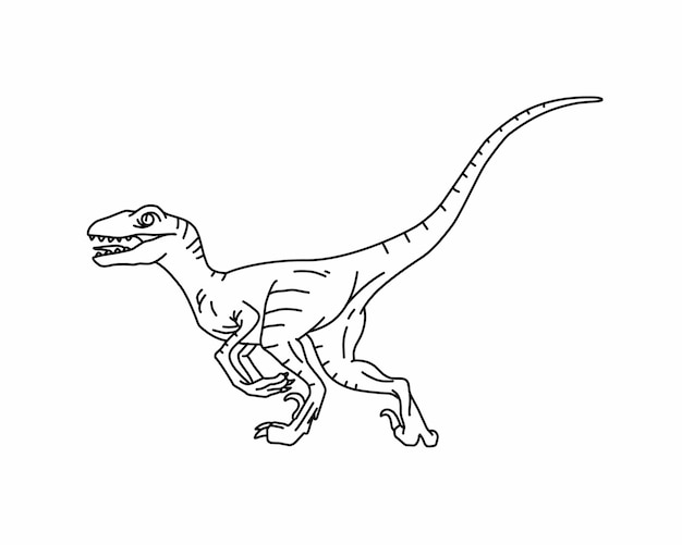 Premium vector velociraptor hunting line art of dinosaur raptor dinosaur drawing coloring dinosaur