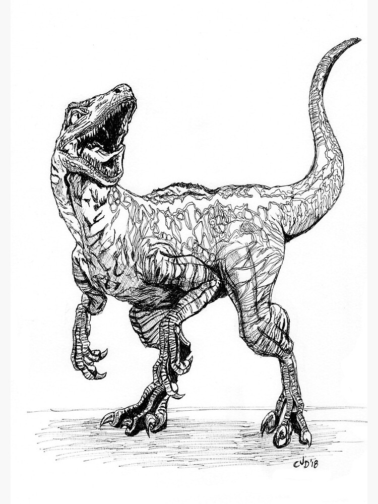 Blue the raptor