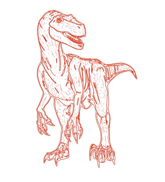 Dinosaur raptor velociraptor dino vector line drawing illustration ai cdr dxf eps pdf vector files for laser engraving