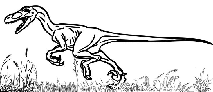 Velociraptor jurassic park coloring page velociraptor jurassic park jurassic world indominus rex blue jurassic world