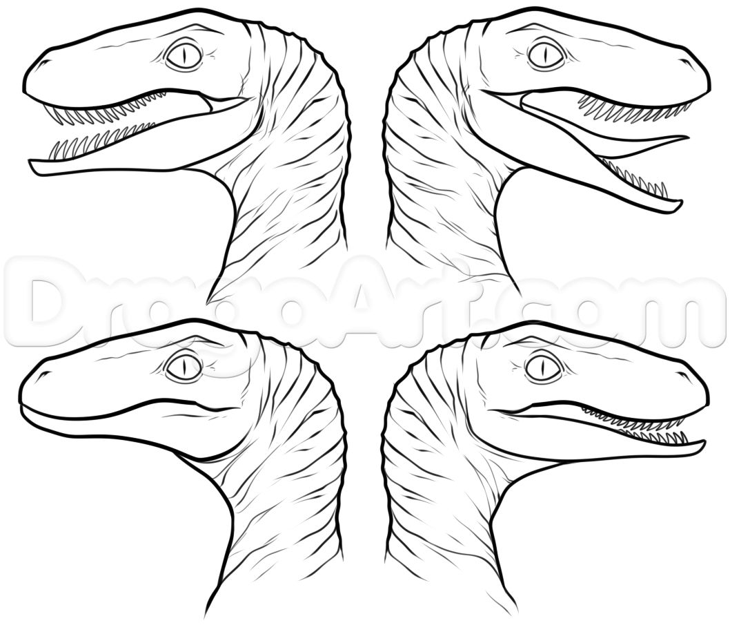 Jurassic park raptor coloring pages collection free coloring sheets jurassic world drawings coloring pages