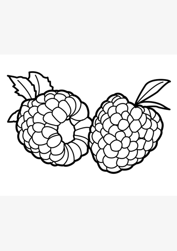 Coloring pages raspberry coloring pages for kids