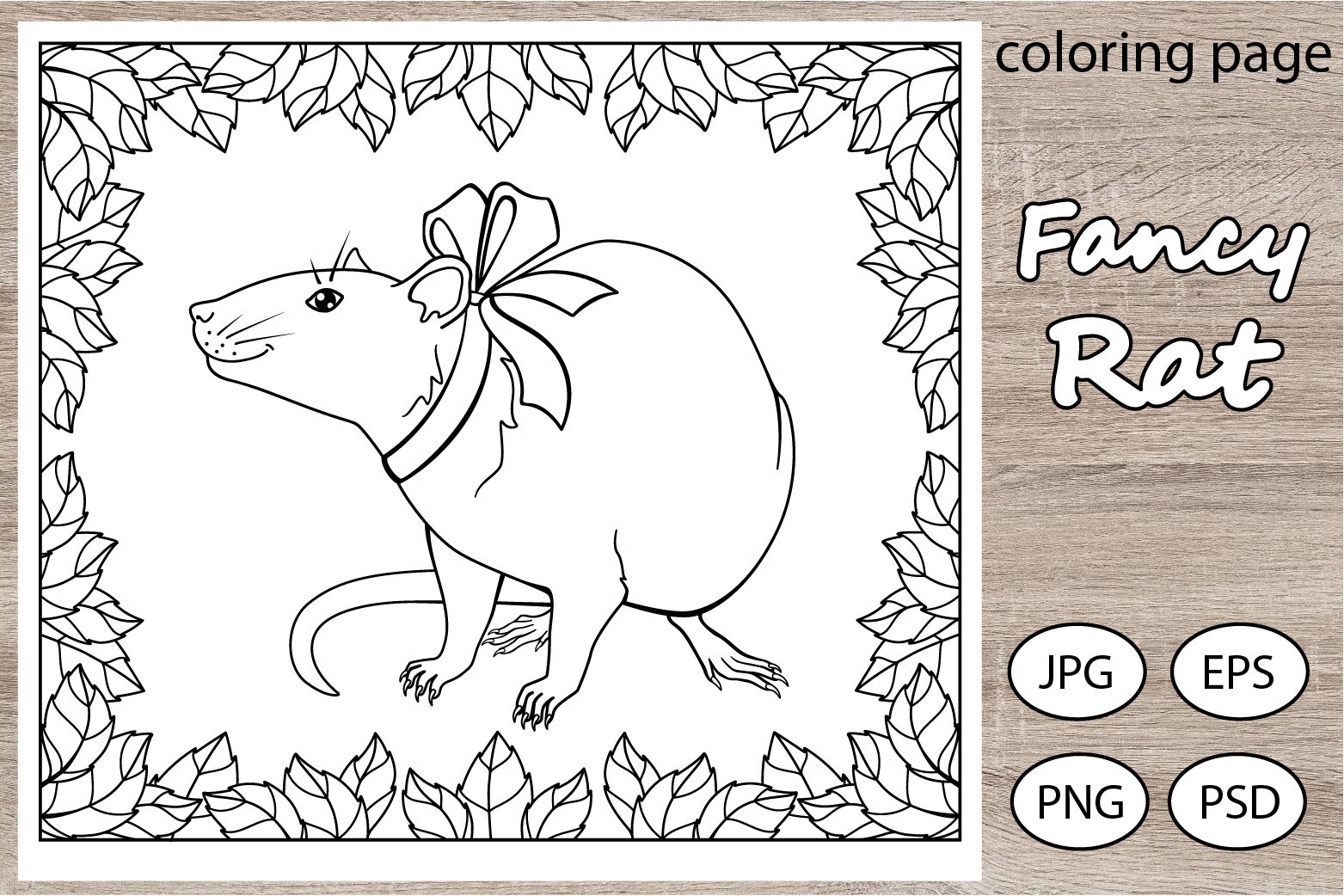 Fancy rat