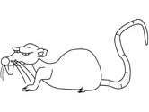 Rat pages