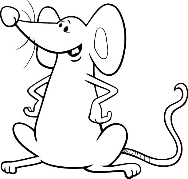 Rat coloring pages stock illustrations royalty