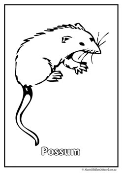 Stralian animal colouring pages