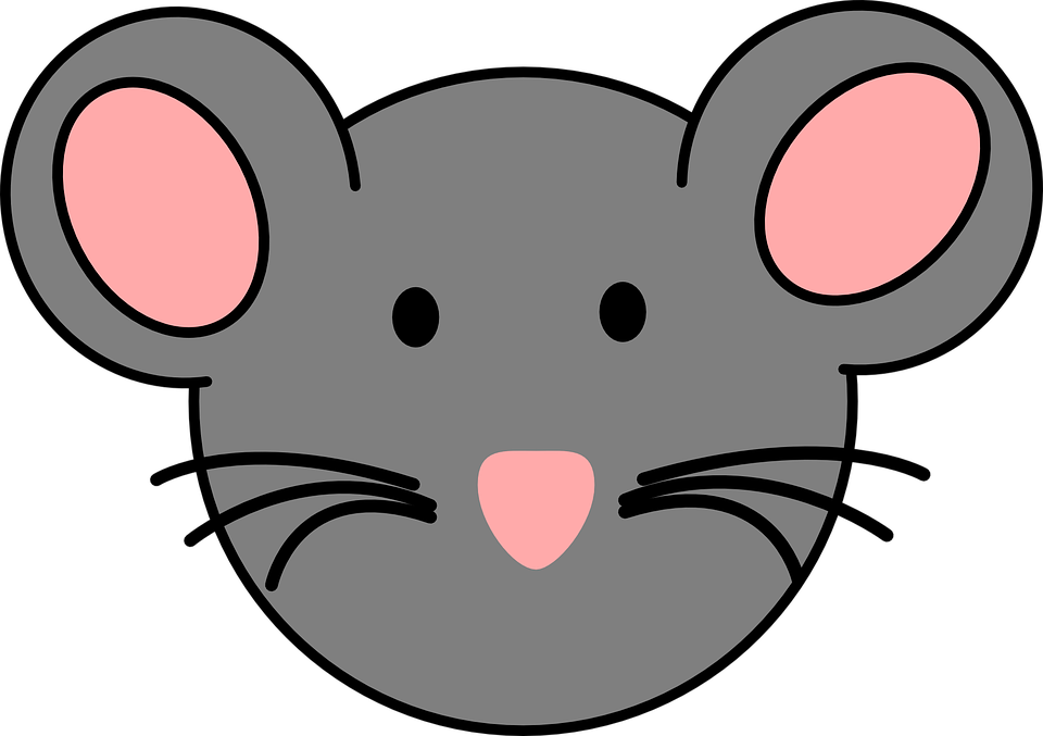 Download mouse face animal royalty