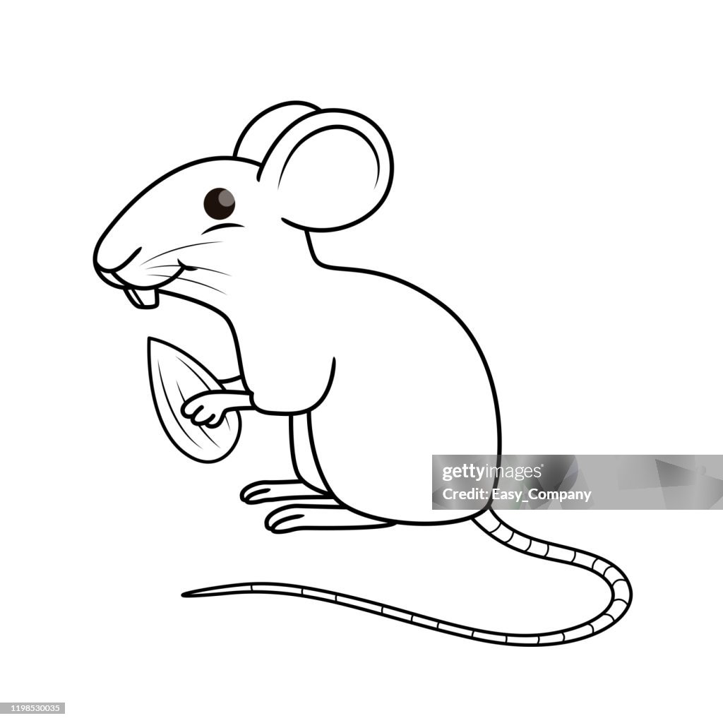 Vector illustration of mouse isolated on white background for kids loring book high