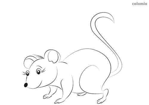 Mice coloring pages free printable mouse coloring sheets