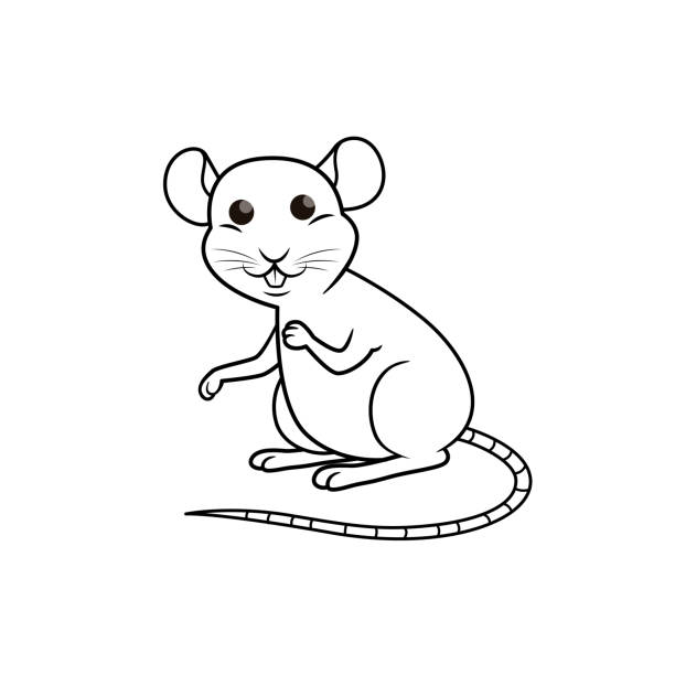 Smiling mouse a rat with cheese and an ear stock illustrations royalty