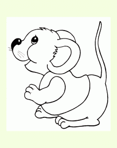 Mouse