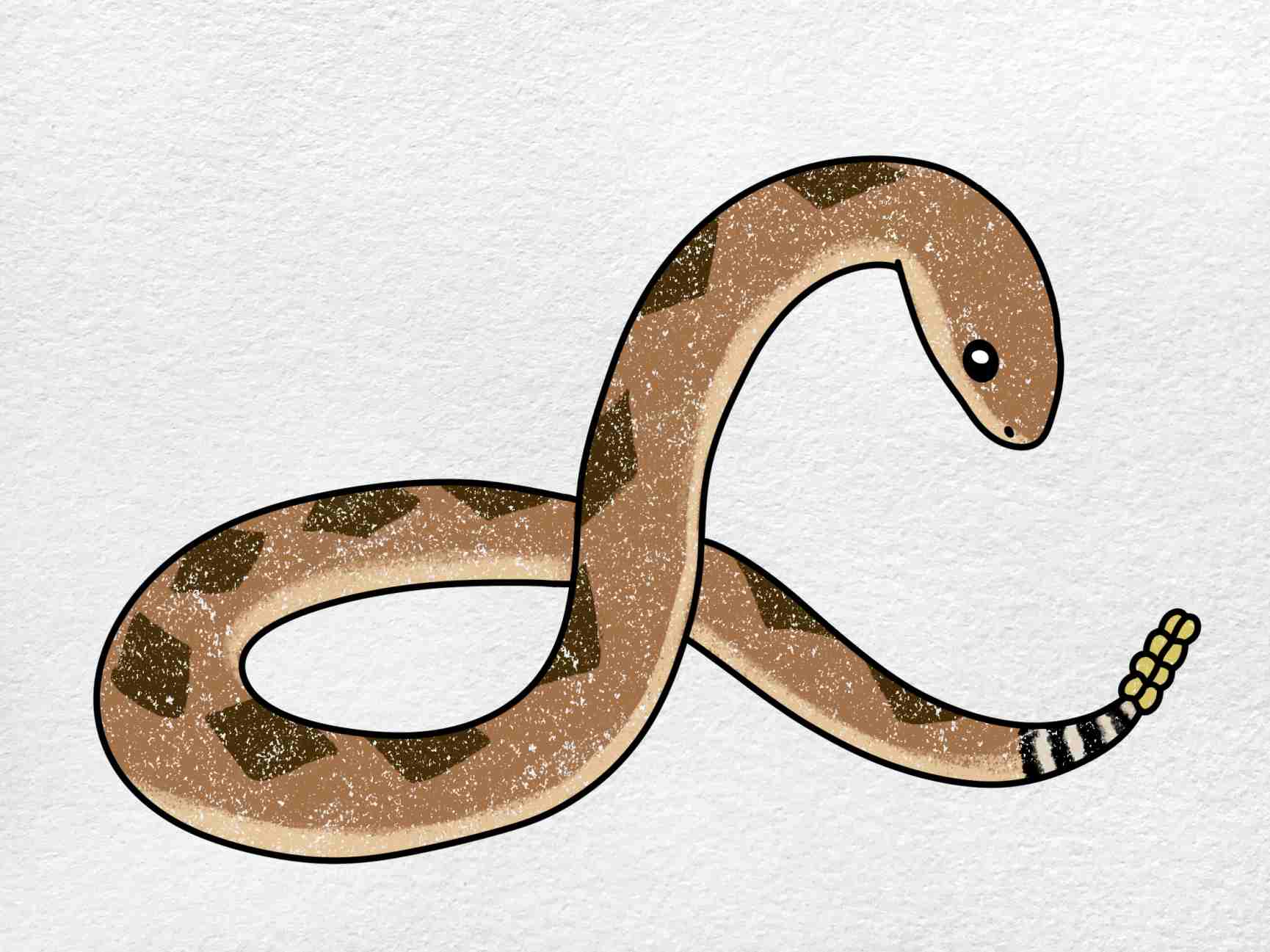 Diamondback rattlesnake drawing