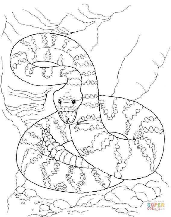 Dangerous rattlesnake coloring page free printable coloring pages