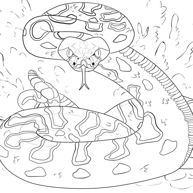 National trails coloring pages us national park service