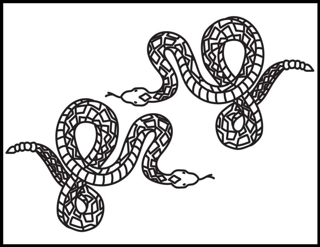 Rattlesnake coloring pages roaring spork
