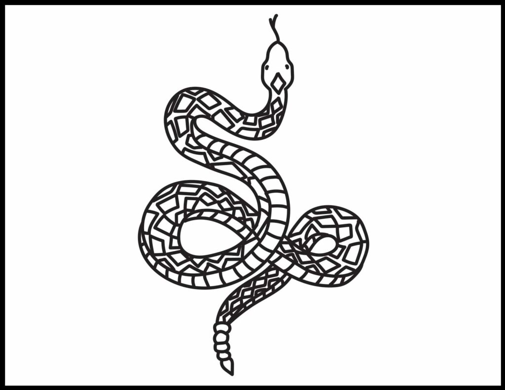 Rattlesnake coloring pages roaring spork
