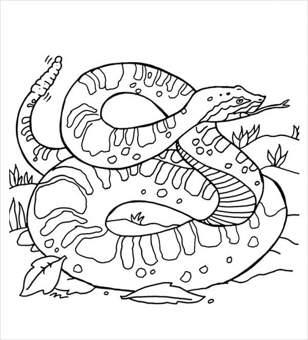 Snake coloring pages