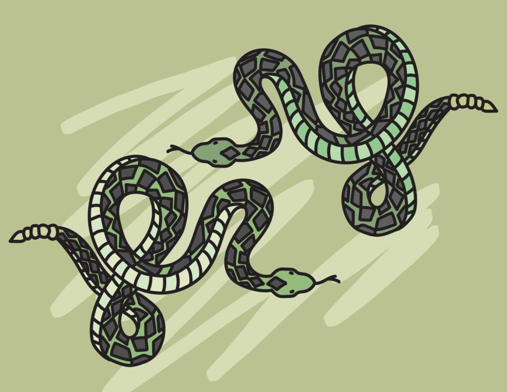 Rattlesnake coloring pages roaring spork