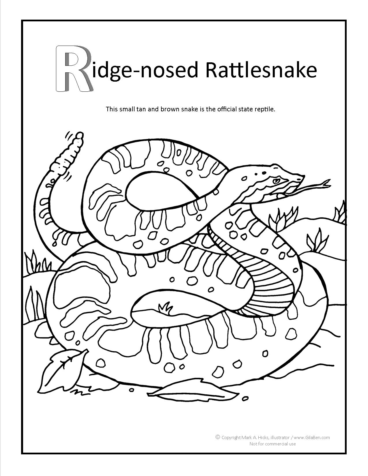 Ridge