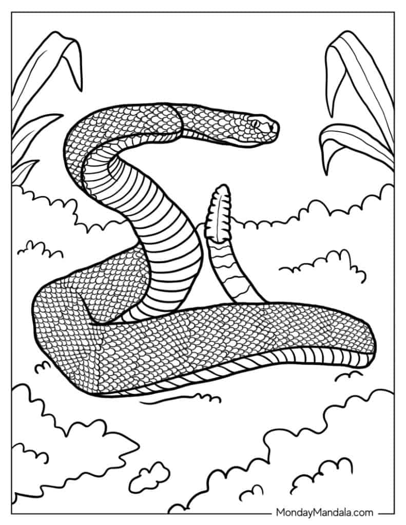 Snake coloring pages free pdf printables
