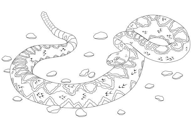 Western diamondback rattlesnake stock illustration