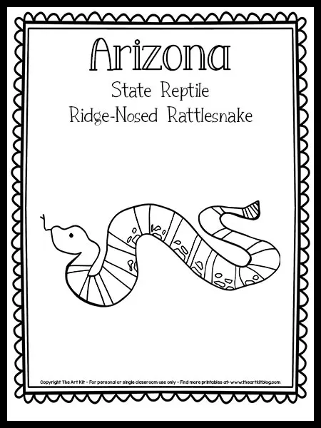 Arizona state reptile the ridge