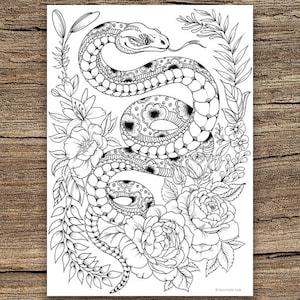 Rattlesnake coloring