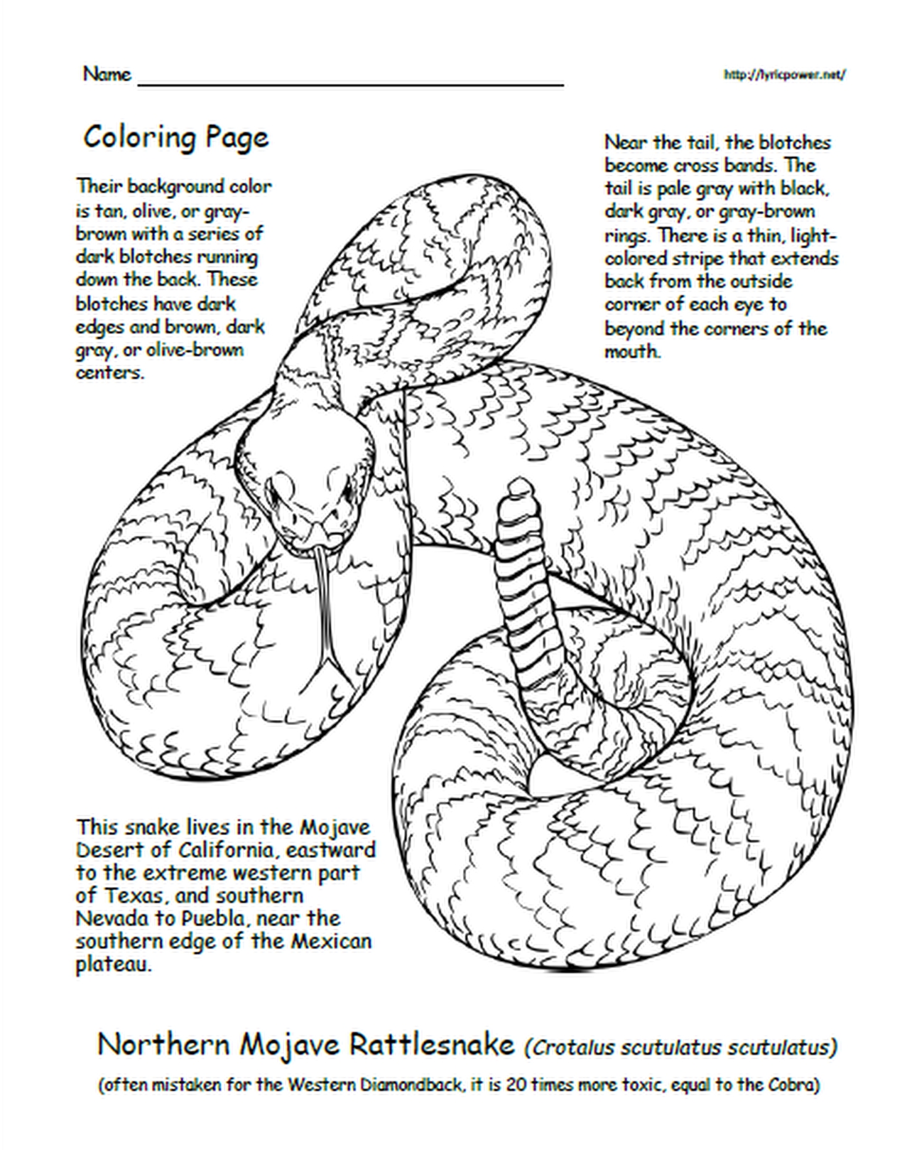 My coloring book about rattlesnakes of the united states gr k