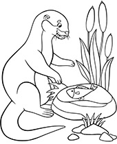 Rattlesnake coloring page snake